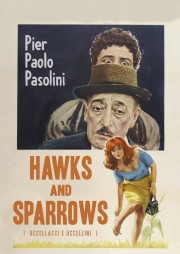 Hawks and Sparrows